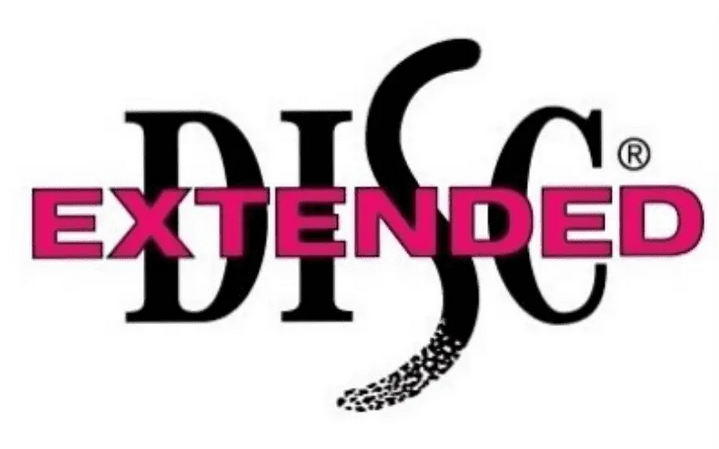 Extendend DIDC logo Usługi DISC sesje z raportem